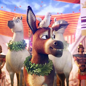 Bilder Bo und der Weihnachtsstern