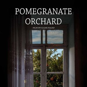 Bilder Pomegranate Orchard