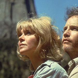 Bilder Melinda Dillon