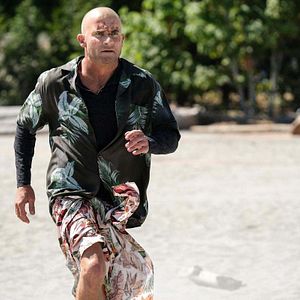 Bilder Dominic Purcell
