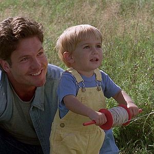 Bilder Friedhof der Kuscheltiere