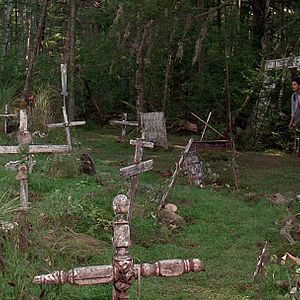 Bilder Friedhof der Kuscheltiere