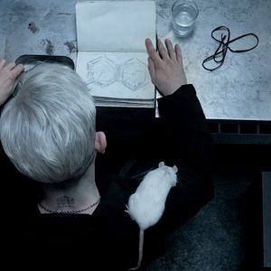 Bilder S.U.M. 1 - Control Your Fear