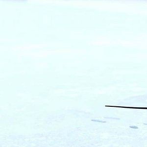 Bilder Myrtille et la lettre au Père Noël