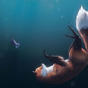 Bilder Myrtille et la lettre au Père Noël