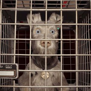 Bilder Isle of Dogs - Ataris Reise
