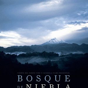 Bilder Bosque de Niebla