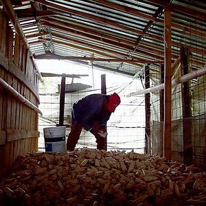 Bilder Bosque de Niebla