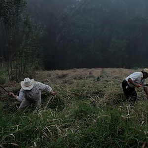 Bilder Bosque de Niebla