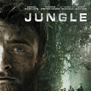 Bilder Jungle