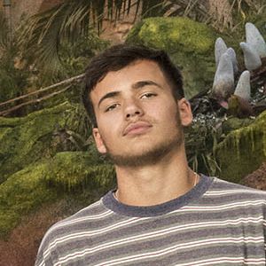 Bilder Jack Champion