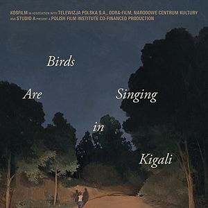 Bilder Ptaki Spiewaja W Kigali