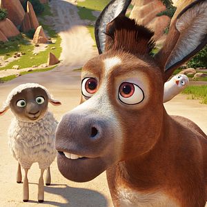 Bilder Bo und der Weihnachtsstern