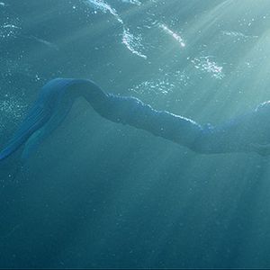 Bilder Die kleine Meerjungfrau - Freunde fürs Leben