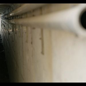 Bilder Carmen & Lola