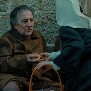 Bilder Das Netz der Freiheit