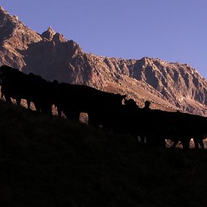 Bilder Andermatt - Global Village