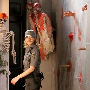 Bilder Kaitlin Olson