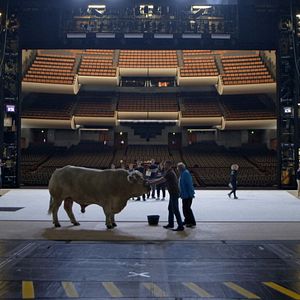 Bilder OPER. L'opéra de Paris