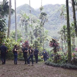 Bilder Claire Forlani