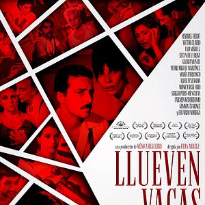 Bilder Llueven vacas