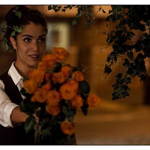 Bilder Eine Nacht in Paris