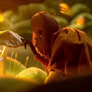 Bilder L'Étrange forêt de Bert et Joséphine