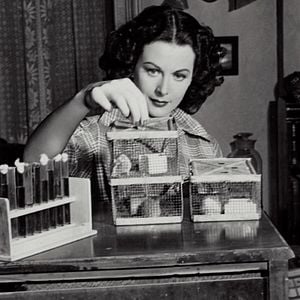 Bilder Hedy Lamarr
