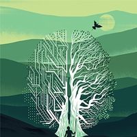 Bilder Tawai: A Voice from the Forest