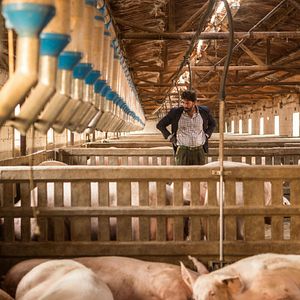 Bilder Antonio Garrido