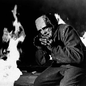 Bilder Frankensteins Ungeheuer