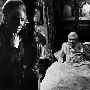 Bilder Schatten einer Katze