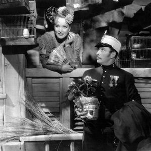 Bilder Der Teufel ist eine Frau