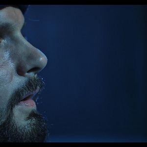 Bilder La nuit juste avant les forêts