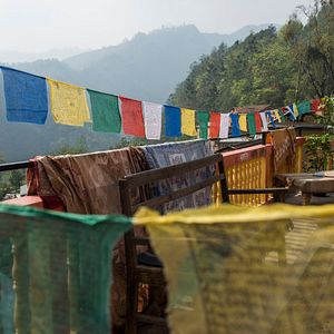 Bilder Tout là-haut