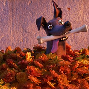 Bilder Coco - Lebendiger als das Leben!