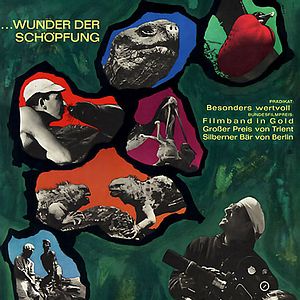 Bilder Galapagos - Trauminsel im Pazifik