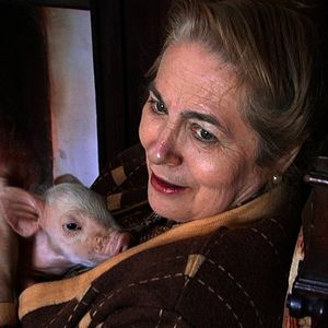 Bilder Muchos hijos, un mono y un castillo