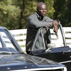 Bilder Hisham Tawfiq