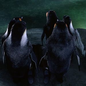 Bilder Batmans Rückkehr