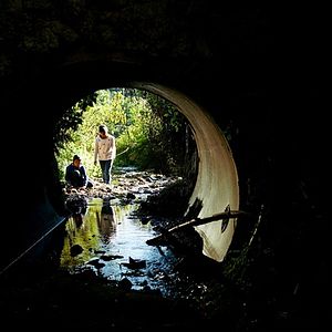 Bilder Mi Hua Zhi Wei