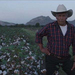 Bilder A morir a los desiertos