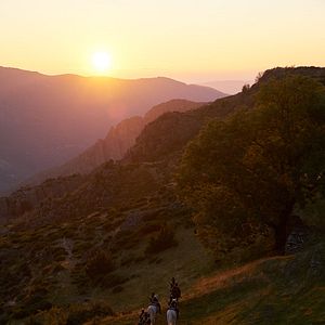 Bilder Das Mädchen, das lesen konnte