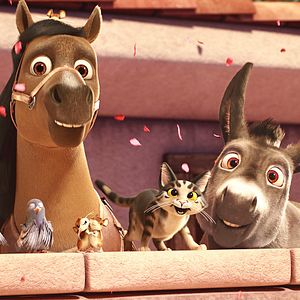 Bilder Bo und der Weihnachtsstern