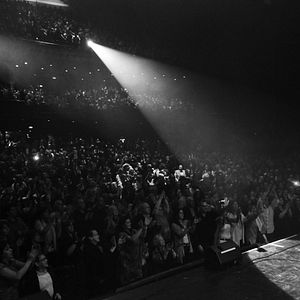 Bilder Indestructible, el alma de la salsa