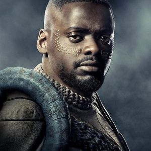 Bilder Black Panther