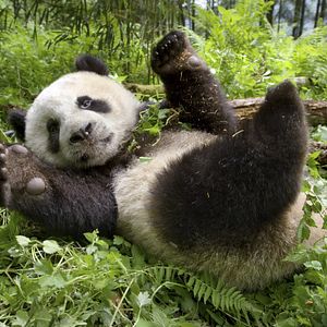 Bilder Unsere Erde 2