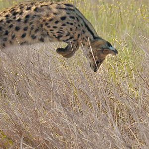 Bilder Unsere Erde 2