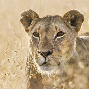 Bilder Unsere Erde 2