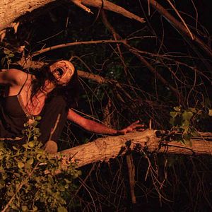 Bilder Haunting At Foster Cabin